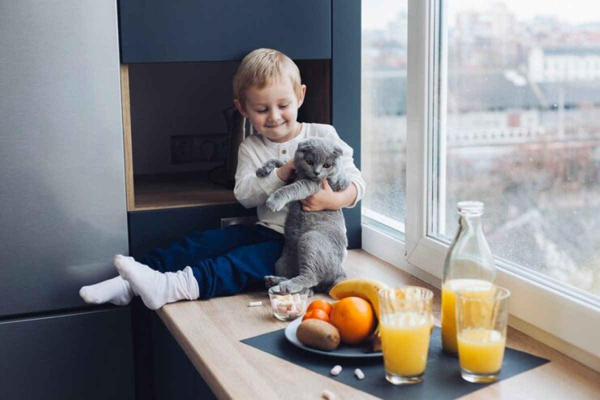 Malang Hadirkan Cafe Dengan Konsep Unik, Nikmati Hidangan Sambil Berinteraksi Dengan Para Kucing, Dijamin Anak-Anak Pasti Happy