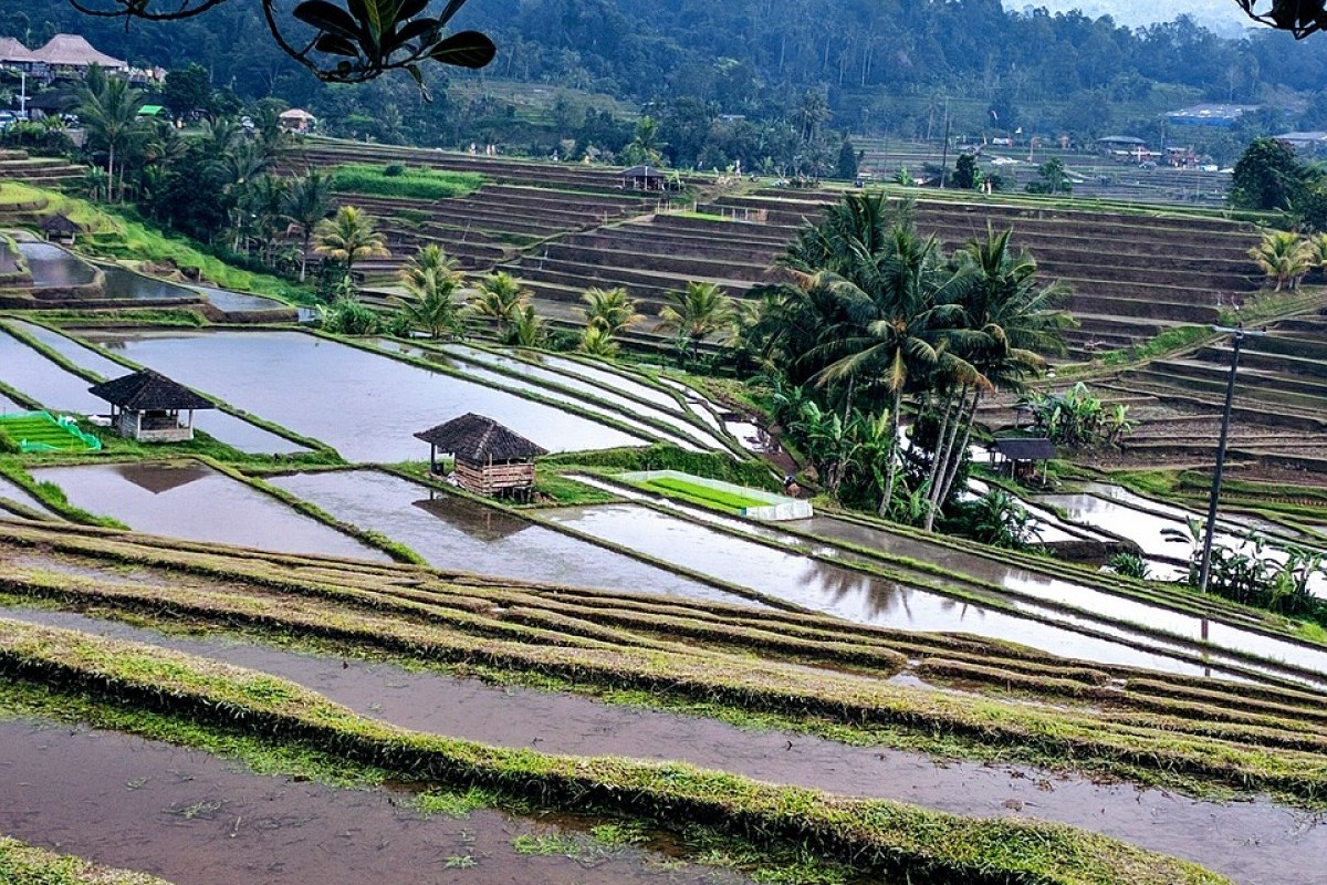 Sumatera Selatan Akhirya Beberkah 3 Daerah dengan Lokasi Paling Jauh dari Ibukota, Jangan Salah Nomor 1 Punya Jarak 379 km, Bukan Lubiklinggau Tapi