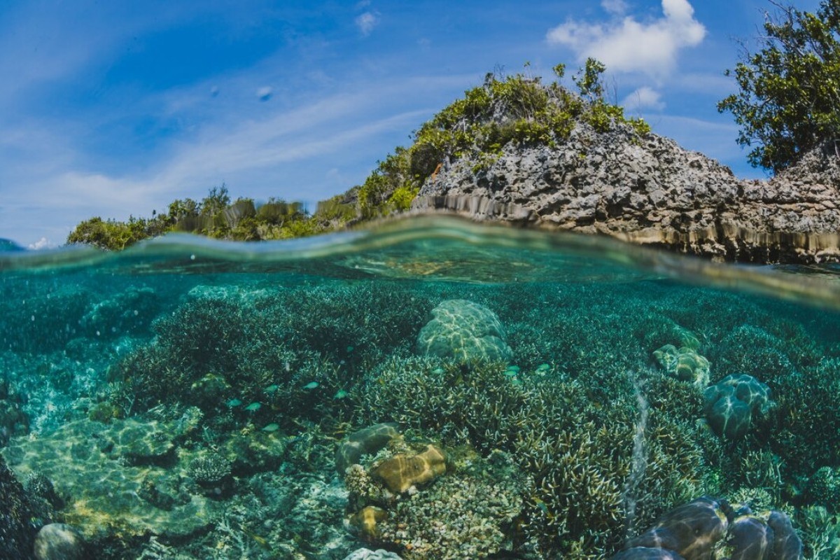 Kepulauan Bunaken Keluar Sebagai Pemenang Usai Mendepak Tikala, Dinobatkan Sebagai Kecamatan Tersepi, Jumlah Penduduknya Hanya 30ribuan Jiwa