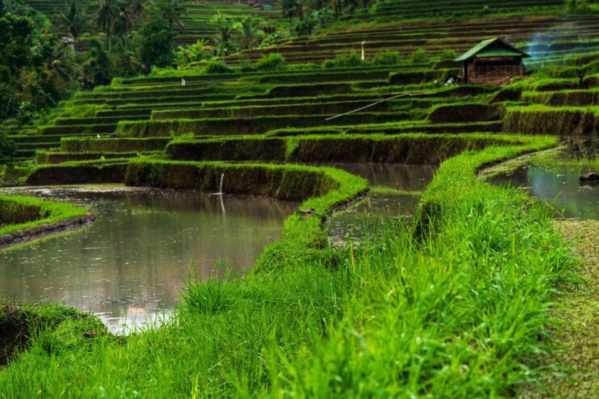 Pesona Keberagaman Angka Di Kabupaten Tegal, 5 Kecamatan Dengan Catatan Penduduk Yang Sedikit Sehingga Diberi Julukan Wilayah Tersepi