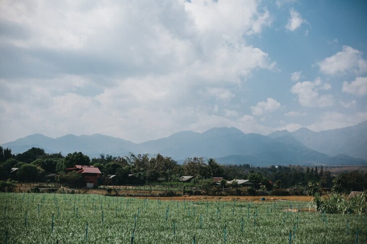 Bukan Sambong Atau Japah Pemenangnya, Tapi Ini.., 5 Kecamatan Tersepi Di Kabupaten Blora