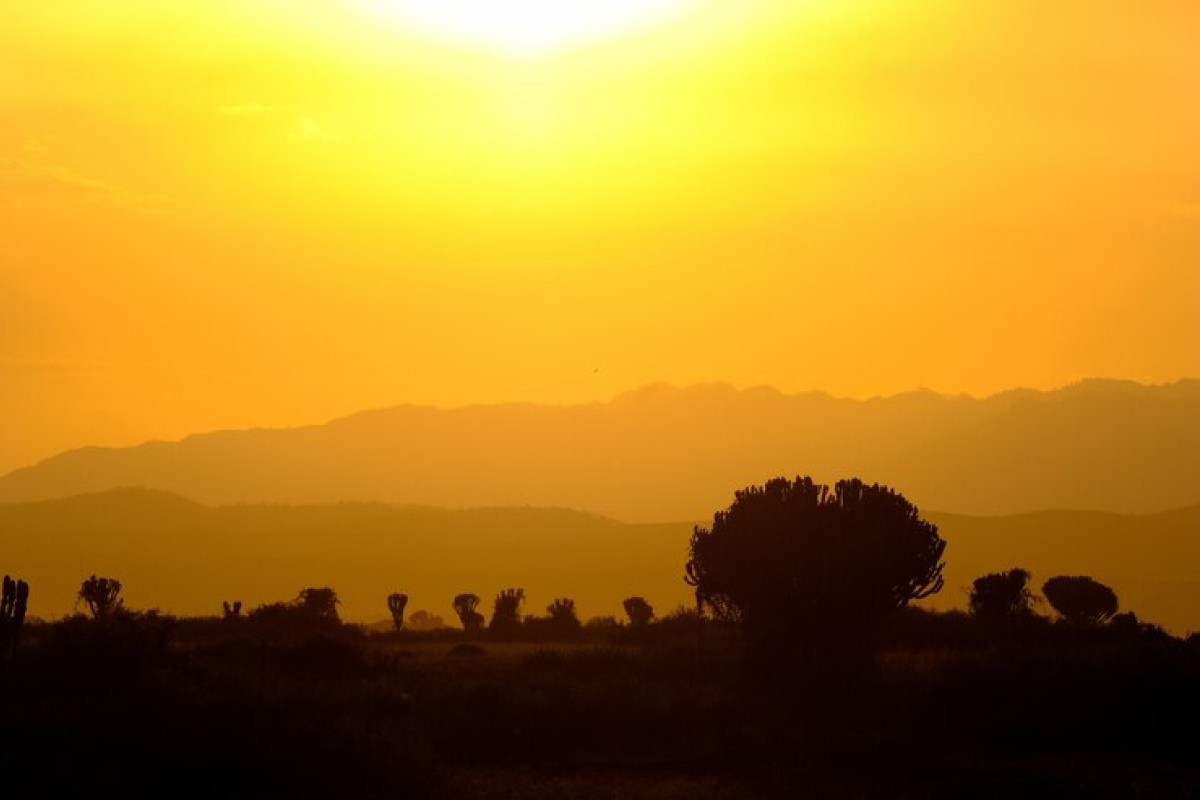 Indah Bagaikan Lukisan, Intip Pesona Destinasi Wisata Di Desa Sukasari: Terasering Panyaweuyan Jadi Spot Cantik Berburu Golden Hour