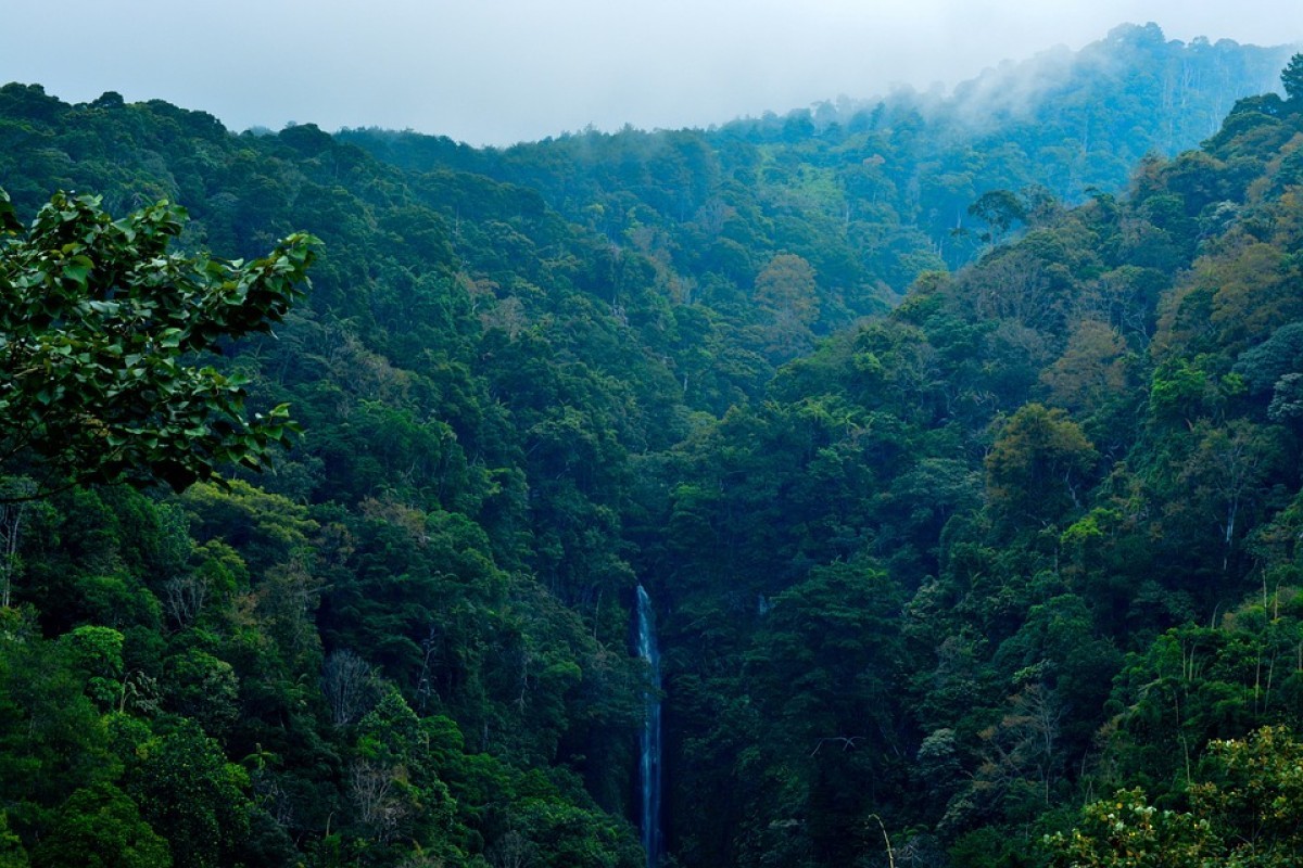 Bumi Sriwijaya Bergetar! Usai Terbongkarnya 3 Wilayah dengan Jarak Paling Jauh dari Pusat Kota Sumatera Selatan, Warga Kaget Musi Rawas Utara di Urutan Pertama