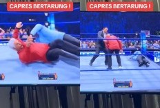 Viral Banget! Game Smackdown Anies Baswedan ke Prabowo dan Ganjar Jadi Sensasi, Sudah Dilihat 4 Juta Orang!