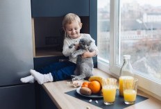 Malang Hadirkan Cafe Dengan Konsep Unik, Nikmati Hidangan Sambil Berinteraksi Dengan Para Kucing, Dijamin Anak-Anak Pasti Happy
