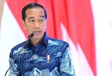 Presiden Jokowi Resmikan Nusantara Superblock di IKN Apa Itu? Begini Penjelasan Selengkapnya