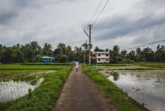 Bogorejo Ajak Sambong Untuk Angkat Kaki Dari Blora Karena Minim Penghuni, 5 Kabupaten Tersepi Di Kabupaten Blora