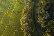 Mengintip Keberagaman Jumlah Penduduk di Kota Gaplek, 5 Kecamatan Tersepi di Trenggalek, Bukan Tugu Atau Bendungan Juaranya