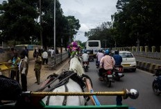 5 Daerah Teramai Di Bangkalan, Bukan Geger Atau Kokop Pemenangnya, Tapi Ini.., Capai 91 Ribu Jiwa.