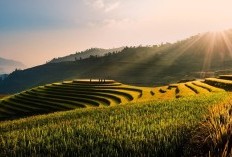 Lahan Makin Hijau! Jawa Barat Resmi Luncurkan Proyek Bendungan Raksasa dengan Anggaran Fantastis, Ini Lokasinya!