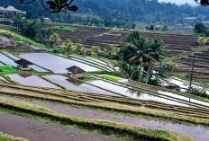 Sumatera Selatan Akhirya Beberkah 3 Daerah dengan Lokasi Paling Jauh dari Ibukota, Jangan Salah Nomor 1 Punya Jarak 379 km, Bukan Lubiklinggau Tapi