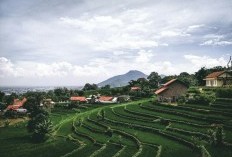 Bendungan Gagal di Aceh Ini Bikin Kerugian Panen hingga 8,922 Ha! Bikin Terkejut, 300 Petani Kena Dampaknya, Begini Kondisi Terkini 