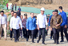 Tanda Tanya Besar? Apa itu Nusantara Superblock yang Baru Saja Dibuka Jokowi di IKN