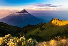 Titik Nol IKN Nusantara di Kalimantan Timur Terletak Dimana? Bukan Samarinda atau Kutai Barat Lalu Daerah Mana?