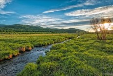 Total Luas Wilayah Sampai 1.233,3 km persegi, Kabupaten Sampang Menjadi Salah Satu Bagian Terpenting di Pulau Garam Madura, Camplong Mala Masuk Wilayah Terpencil?