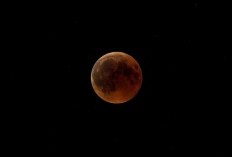 CEK FAKTA! Viral Pesan Bahaya Gerhana Bulan Malam Ini, 29 Februari 2024