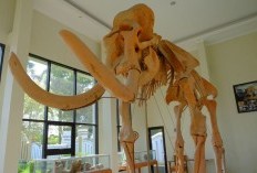 Menelusuri Keindahan Dan Penuh Edukasi Wisata Di Blora: Ada Goa Sampai Museum Juga