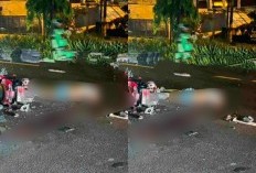 Geger Foto Bule Kecelakaan di Bali hingga Kepala Putus Viral di Medsos, Video Tiktok Sampai Ramai Dikomen Netizen