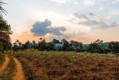 5 Daerah Tersepi Di Bangkalan, Top 1 Bukan Labang Apalagi Sepuluh, Tapi Ini.., Hanya Ada 30,9 Ribu Jiwa