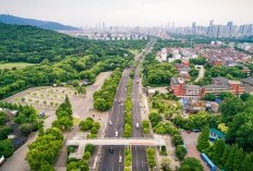 Kare Bikin Resah! Jadi Juara Daerah Terluas di Madiun dan Kalahkan 4 Kecamatan Lainnya, Areanya Saja Seluas 190,85 km²