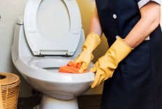 Bahan Ramah Lingkungan Untuk Bersihkan Kerak Kuning Membandel Pada Toilet, Dijamin Bersih Dan Kinclong: Nomor 2 Pasti Gak Nyangka