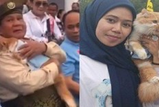 Heboh Prabowo Menggendong Kucing Saat Kampanye, Pendukung Kena Semprot Dokter Hewan: Kucingnya Bisa Stres 