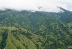 Muncak di Musim Liburan, Boleh Dong Kasih Info 5 Rekomendasi Gunung di Indonesia yang Cocok Bagi Pemula, Berikut Lokasi dan Harga Tiket Masuknya!