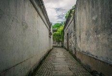 Mengulik Gang Unik Penuh Cerita, Ada Nama Gang Yang Suka Mengumpat Juga, Umpatan Apa Itu?