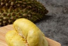 Pecinta Raja Buah Merapat! Trenggalek Punya Wisata Kebun Durian Terluas Se Asia, Raih Prestasi Gemilang di Ajang ADWI