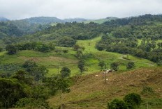 Sepi Mangkring! 4 Kecamatan Tersepi di Kabupaten Tasikmalaya Jadi Dambaan Para Introvert, Juaranya Cuma Ada 12.560 jiwa