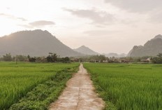 Maduran Dan Sarirejo Kalah Telak, Mundur Sebagai Kecamatan Tersepi Di Kabupaten Lamongan