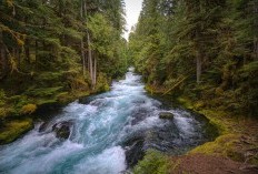Air Terjun Tertinggi di Indonesia Terletak Dimana? Intip Rahasia Besar Sumatera Utara yang Menyembyntikan Air Terjun dengan Tinggi 132 Meter 2x Ukuran Monas