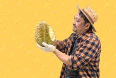 Durian Lovers Merapat! Simak Tips Aman Mengkonsumsi Si Raja Buah Ini Agar Tak Mengganggu Kesehatan