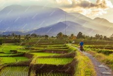 Intip Keberagaman dan Keunikan Nama-nama Desa di Bojonegoro, Nomor 5 Bikin Mencekam