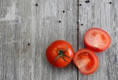 Gak Nyangka! Hasil Produksinya Bisa Capai 2.513 Ton per Tahun, 5 Kecamatan Penghasil Tomat Terbanyak di Kabupaten Pati