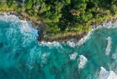 Menelusuri Pesona Kuliner Pulau Seribu Masjid, 15 Rekomendasi Makanan Khas Lombok: Ada Plecing Dan Taliwang