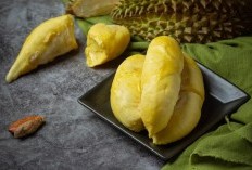 4 Daerah Di Kabupaten Pandeglang Ini Jadi Incaran Para Durian Lovers, Tebak Dimana Saja? Siap-Siap Berburu Si Raja Buah