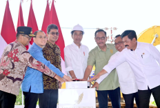Kece Banget! Apa Itu Nusantara Superblock yang Baru Diresmikan Presiden Jokowi, Simak Yuk!