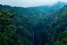 Bumi Sriwijaya Bergetar! Usai Terbongkarnya 3 Wilayah dengan Jarak Paling Jauh dari Pusat Kota Sumatera Selatan, Warga Kaget Musi Rawas Utara di Urutan Pertama