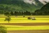 5 Nama Desa Unik Di Kabupaten Ngawi, Nomor 4 Ditakuti Para Pengendara Motor Pada Malam Hari