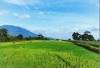Desa Ini Menurunkan Gen Tak Biasa Antar Generasi: Cek Nomor Sekian, Keunikan Warga Pedesaan Indonesia