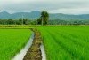 Luasnya Mencapai 5.196,02 Km², Akhirnya Sulawesi Tengah Diiinkan Buat Memisahkan Daerah dan Buat Pemekaran Baru dengan Wilayah Otonom yang Lebih Mempuni